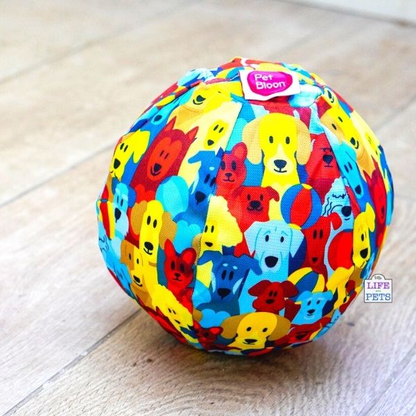 Pet 2024 balloon ball