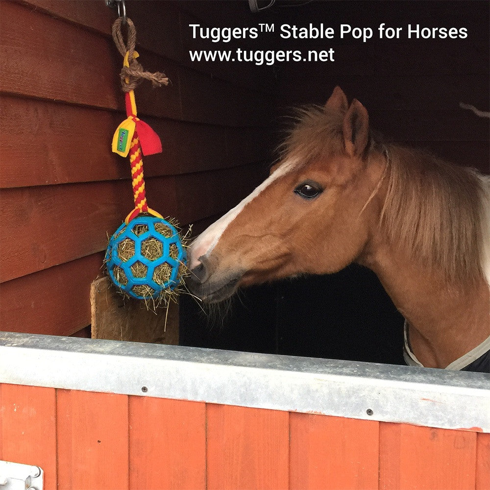 Horse best sale boredom toys