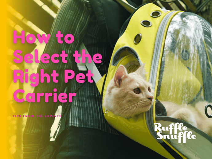 How to Select the Right Pet Carrier