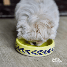 Load image into Gallery viewer, Carved Personalised Ceramic Dog Bowls
