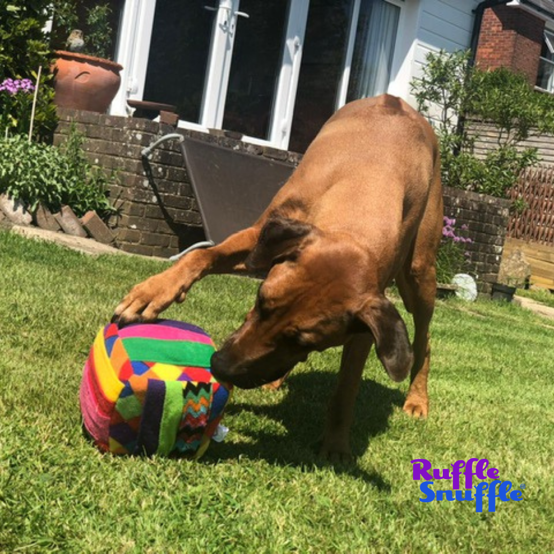 Gift Set 36”x24” Snuffle Mat, popular Chew Ring, Treat Ball Choose Your Colors