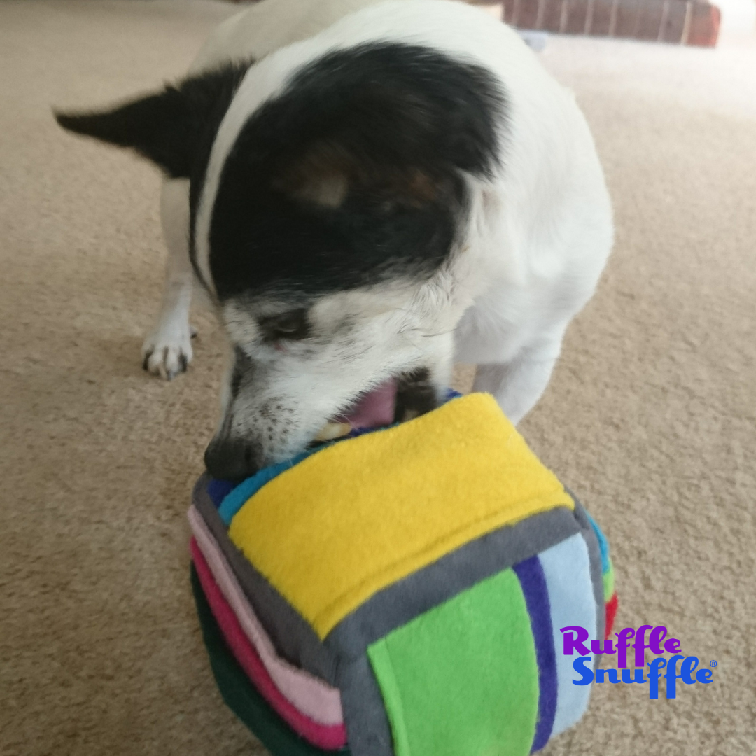 Gift Set 36”x24” Snuffle Mat, popular Chew Ring, Treat Ball Choose Your Colors