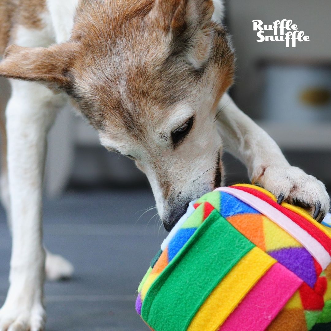DEOPLLAE Snuffle Mat (Premium Mat with Treat Ball & Toys