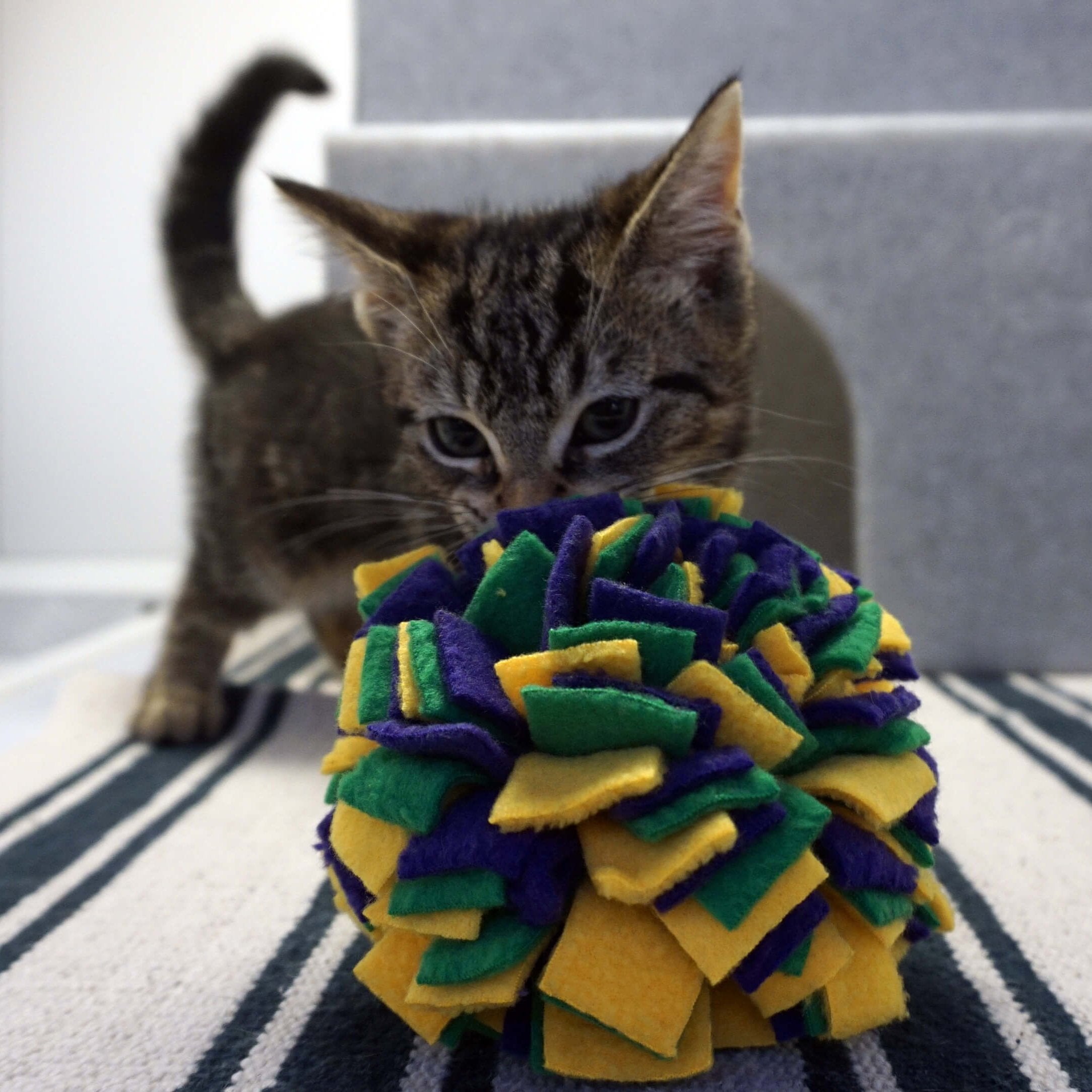 Ruffle Cat Treat Ball Ruffle Snuffle